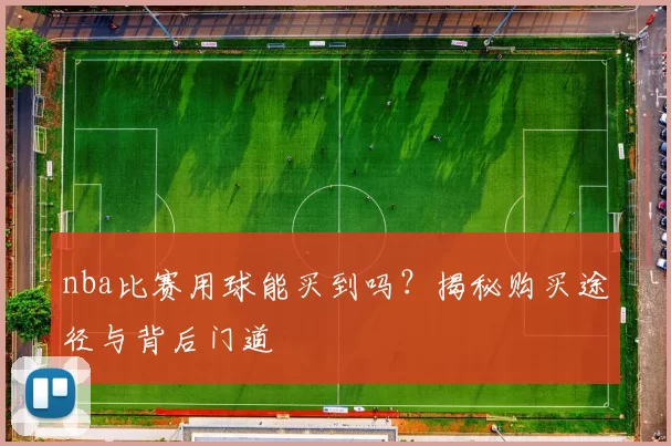 nba比赛用球能买到吗?揭秘购买途径与背后门道