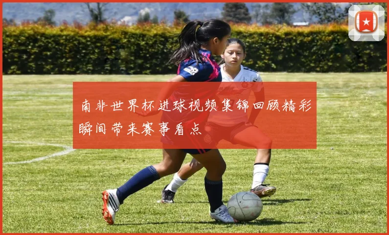 南非世界杯进球视频集锦回顾精彩瞬间带来赛事看点